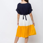 Navy Blue Colourblocked Maternity Nursing Fit & Flare Dress(Multicolor)